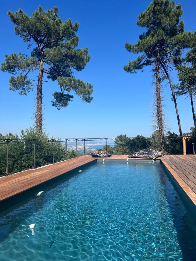 Villa Ormarine, Vue Exceptionnelle Sur La Baie De Cannes Et Le Mercantour Лез-Адре-де-л’Эстерель Экстерьер фото