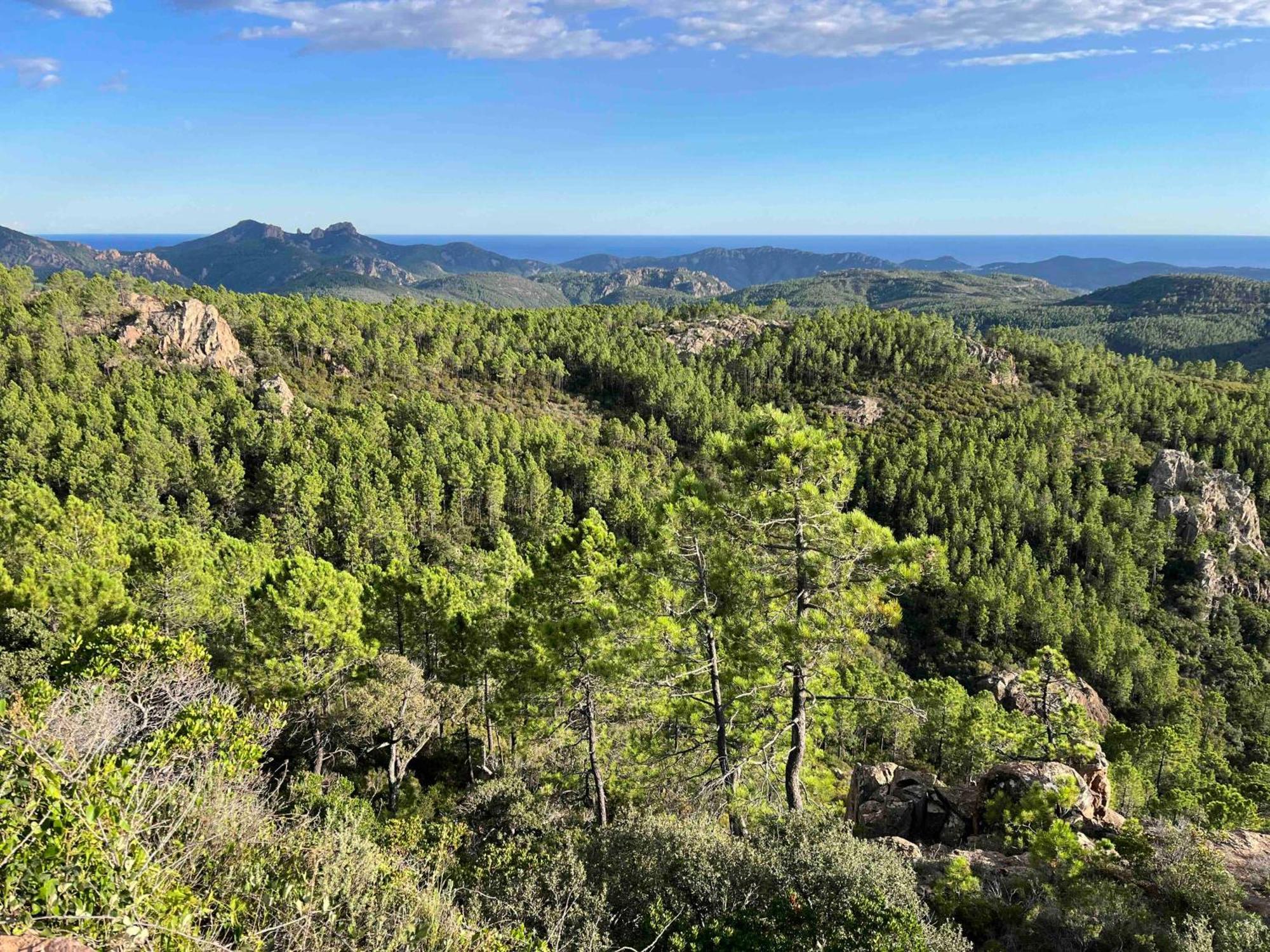 Villa Ormarine, Vue Exceptionnelle Sur La Baie De Cannes Et Le Mercantour Лез-Адре-де-л’Эстерель Экстерьер фото